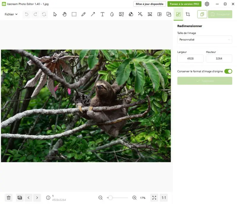 Icecream Photo Editor 6
